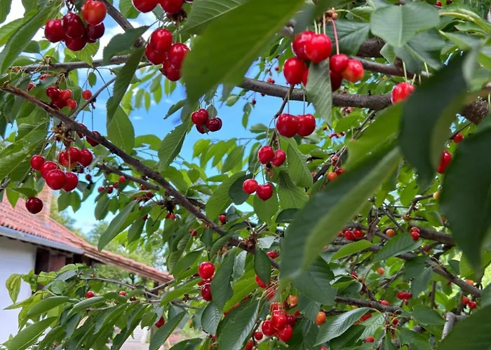 A Kulcshoz Menedek Ferienhaus Kulcs